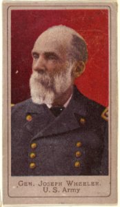General Joseph Wheeler, United States Army, from the Heroes of the Spanish War series (T175) MET DP842590
