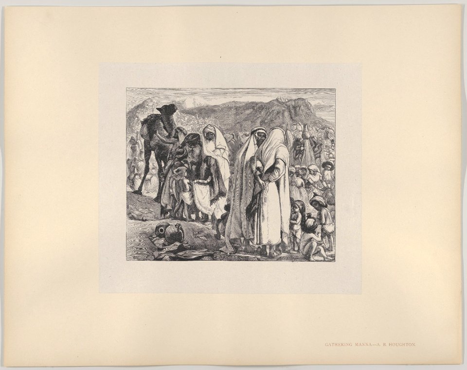 Gathering Manna (Dalziels' Bible Gallery) MET DP835881