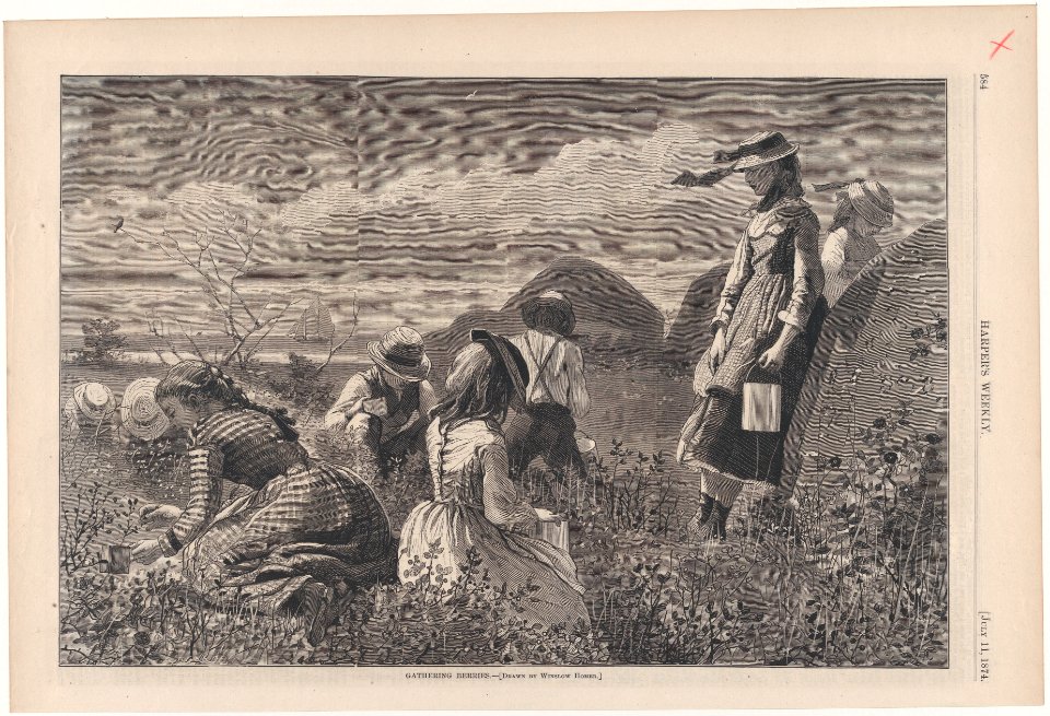 Gathering Berries – Drawn by Winslow Homer (Harper's Weekly, Vol. XVIII) MET DP875354