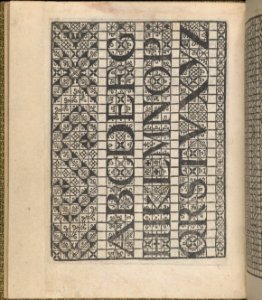 Giardineto novo di punti tagliati et gropposi per exercitio & ornamento delle donne (Venice 1554), page 11 (verso) MET DP360749
