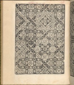 Giardineto novo di punti tagliati et gropposi per exercitio & ornamento delle donne (Venice 1554), page 10 (verso) MET DP360745