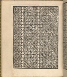 Giardineto novo di punti tagliati et gropposi per exercitio & ornamento delle donne (Venice 1554), page 12 (recto) MET DP360751