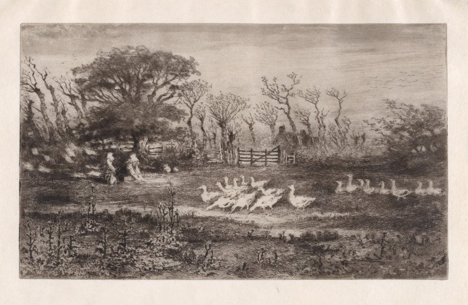 Geese Met DP888949