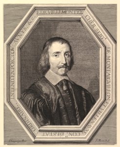 Francois de Villemontee, conseiller d'etat ordinaire MET DP819869