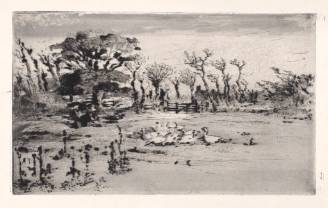 Geese Met DP888950