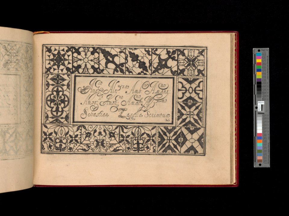Ghirlanda- Di sei vaghi fiori scielti da piu famosi Giardini d'Italia, page 33 (recto) MET DP363978