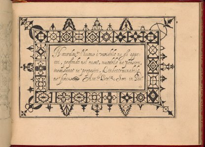 Ghirlanda- Di sei vaghi fiori scielti da piu famosi Giardini d'Italia, page 21 (recto) MET DP362279