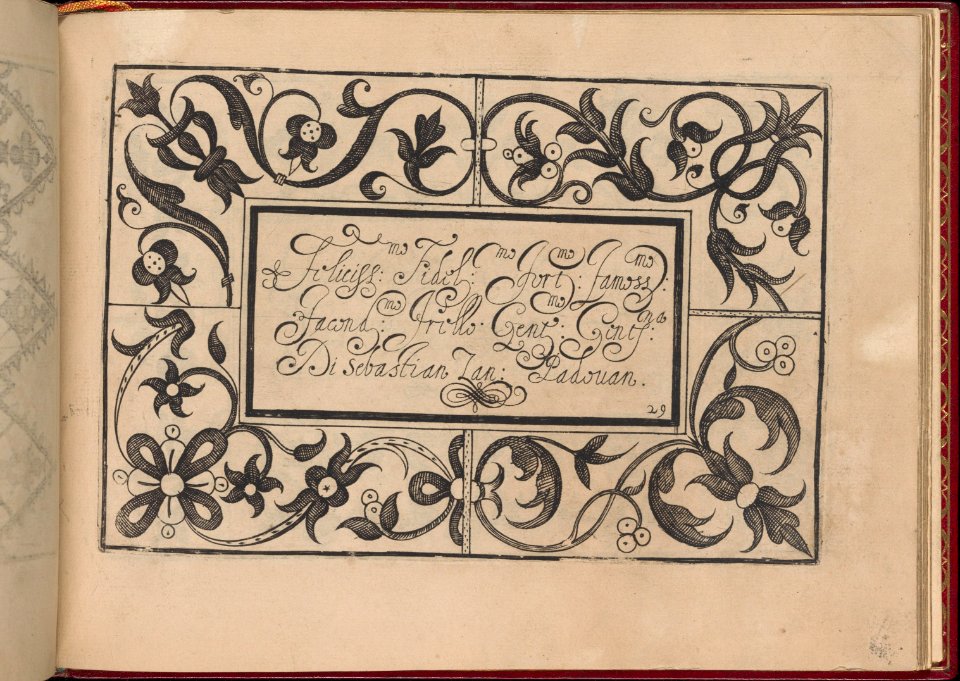 Ghirlanda- Di sei vaghi fiori scielti da piu famosi Giardini d'Italia, page 37 (recto) MET DP362295