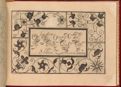 Ghirlanda- Di sei vaghi fiori scielti da piu famosi Giardini d'Italia, page 41 (recto) MET DP362299