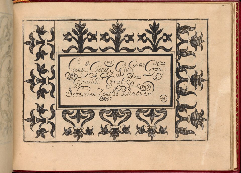 Ghirlanda- Di sei vaghi fiori scielti da piu famosi Giardini d'Italia, page 38 (recto) MET DP362296
