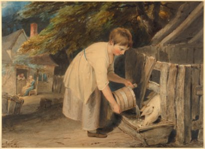 Girl Feeding Pigs MET DP834047
