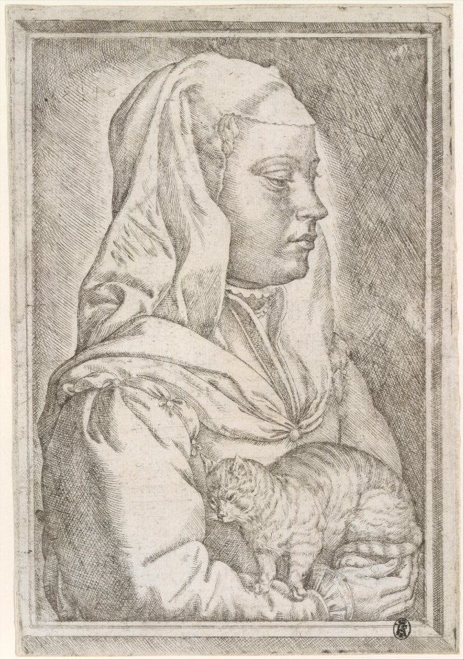 Girl with a Cat MET DT203414