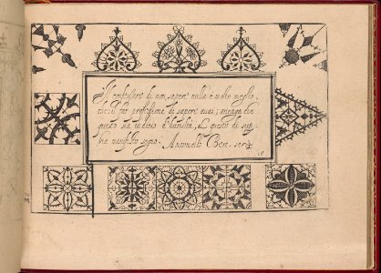 Ghirlanda- Di sei vaghi fiori scielti da piu famosi Giardini d'Italia, page 26 (recto) MET DP362284