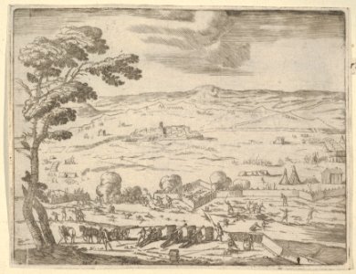 German and Spanish Forts Near Bohemia Were Taken with Great Force Near Bohemia, from L'Idea di un Principe ed Eroe Cristiano in Francesco I d'Este, di Modena e Reggio Duca VIII -...- MET DP830695