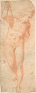 Hermaphrodite MET DP809045