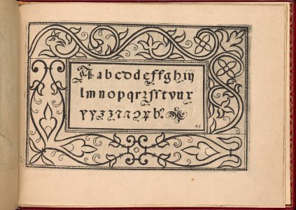 Ghirlanda- Di sei vaghi fiori scielti da piu famosi Giardini d'Italia, page 49 (recto) MET DP362315