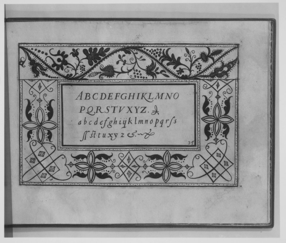 Ghirlanda- Di sei vaghi fiori scielti da piu famosi Giardini d'Italia, page 13 (recto) MET MM4952