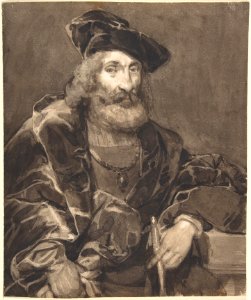 Half-length Portrait of a Bearded Man in Historical Dress MET DP800747