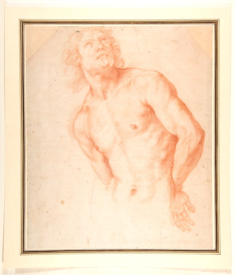 Half-Figure of a Male Nude with Arms behind Back MET DP812182