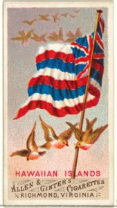 Hawaiian Islands, from Flags of All Nations, Series 1 (N9) for Allen & Ginter Cigarettes Brands MET DP841356