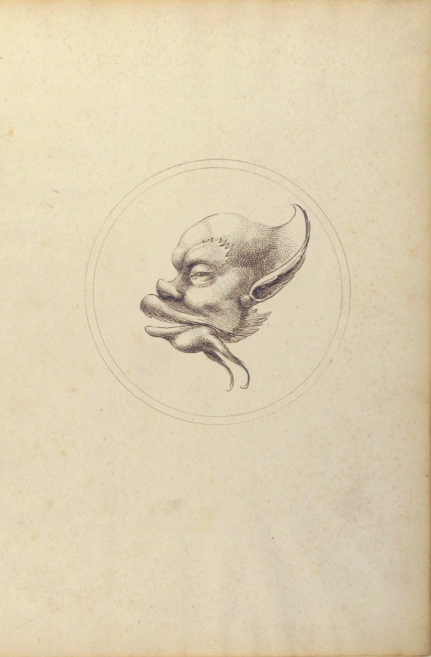 Grotesque Head With a Large Eyebrow Looking to the Left Within a Circle MET 60.541.12
