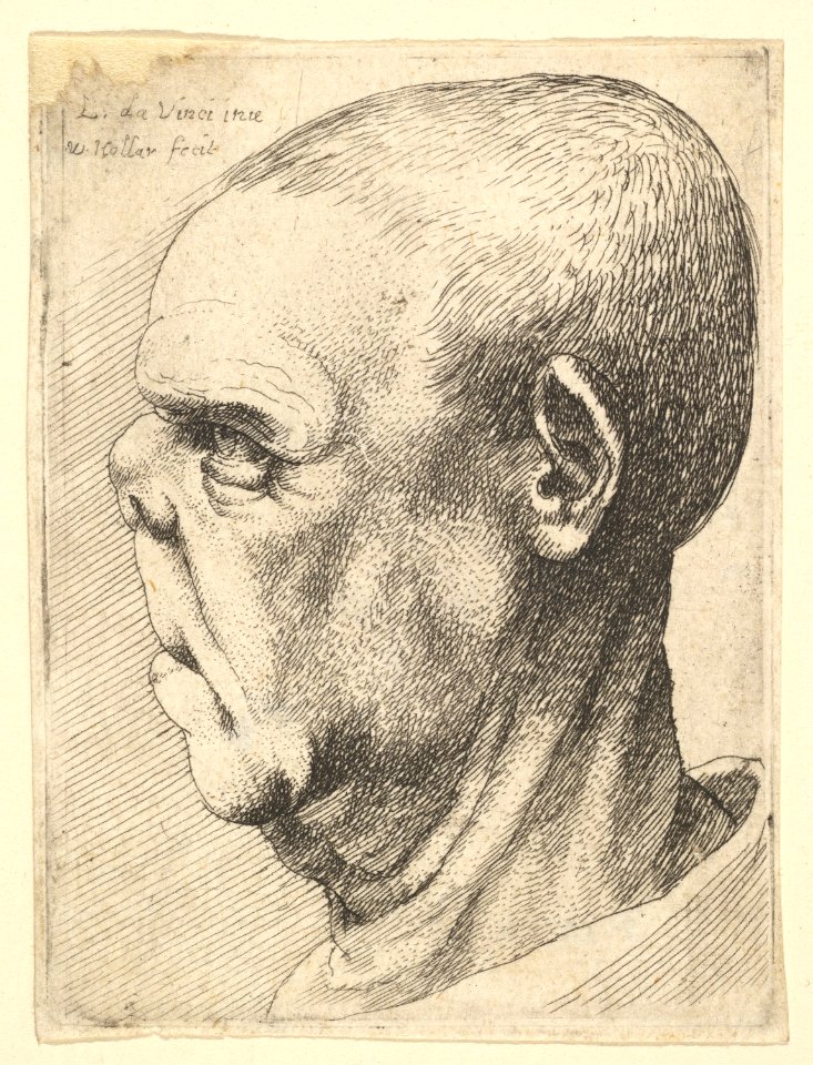Grotesque old man with flattened nose in profile to left MET DP823711