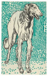 Greyhound MET DP844716