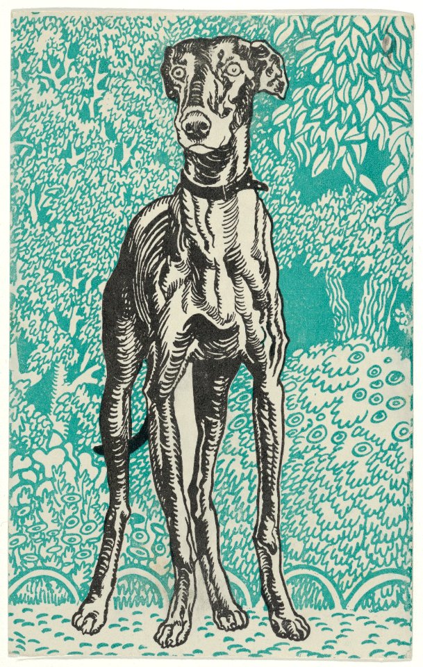 Greyhound MET DP844718