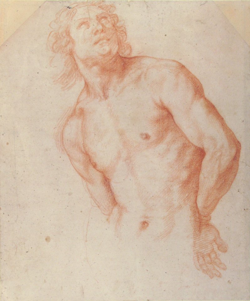Half-Figure of a Male Nude with Arms behind Back MET 67.195