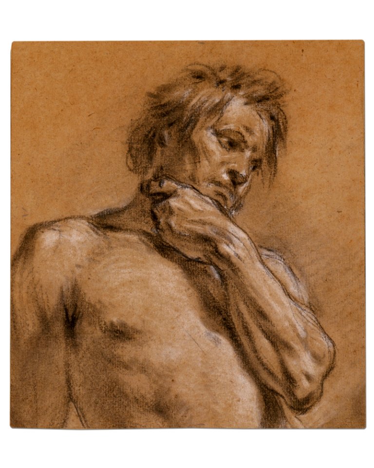 Half-Length Study of a Man MET DR1007