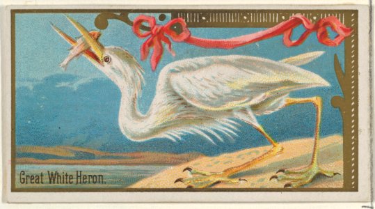 Great White Heron, from the Game Birds series (N13) for Allen & Ginter Cigarettes Brands MET DP834675