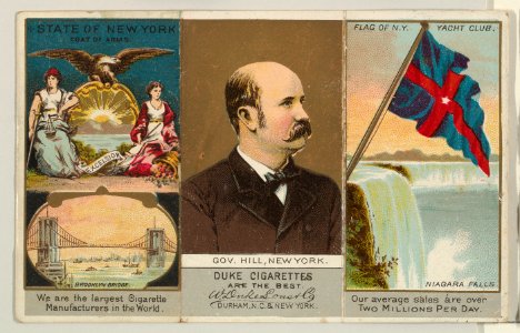 Governor Hill, New York, from "Governors, Arms, Etc." series (N133-2), issued by Duke Sons & Co. MET DP865552