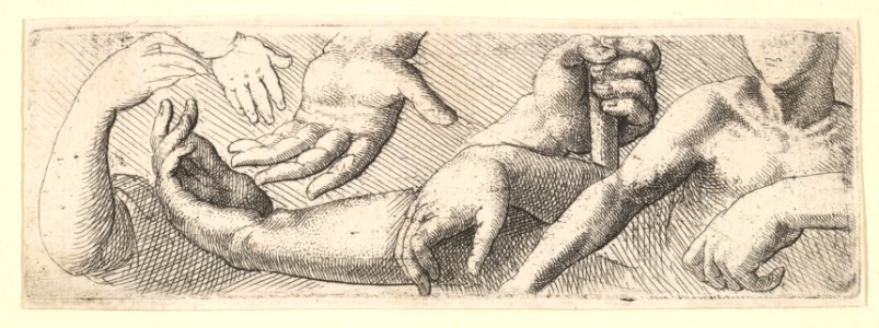 Hands and arms MET DP823729