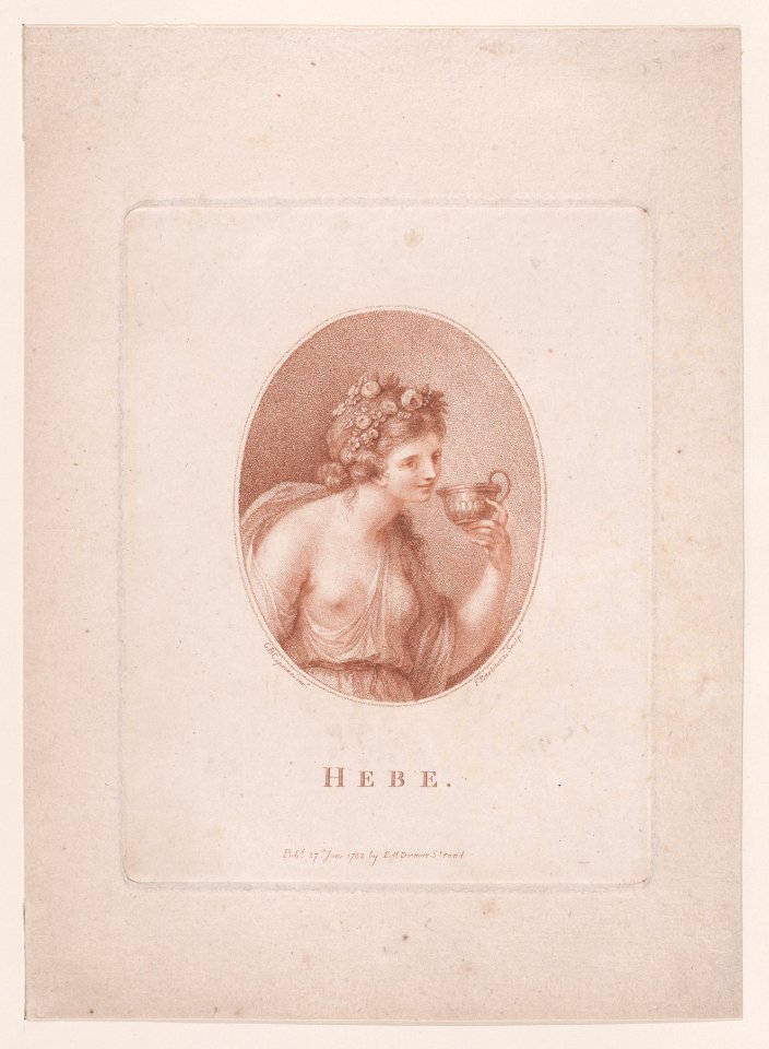 Hebe Met DP891465