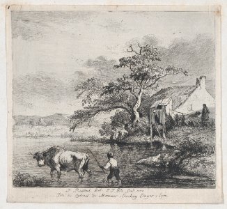 Herdsman and Bull, after Ruisdael MET DP874444