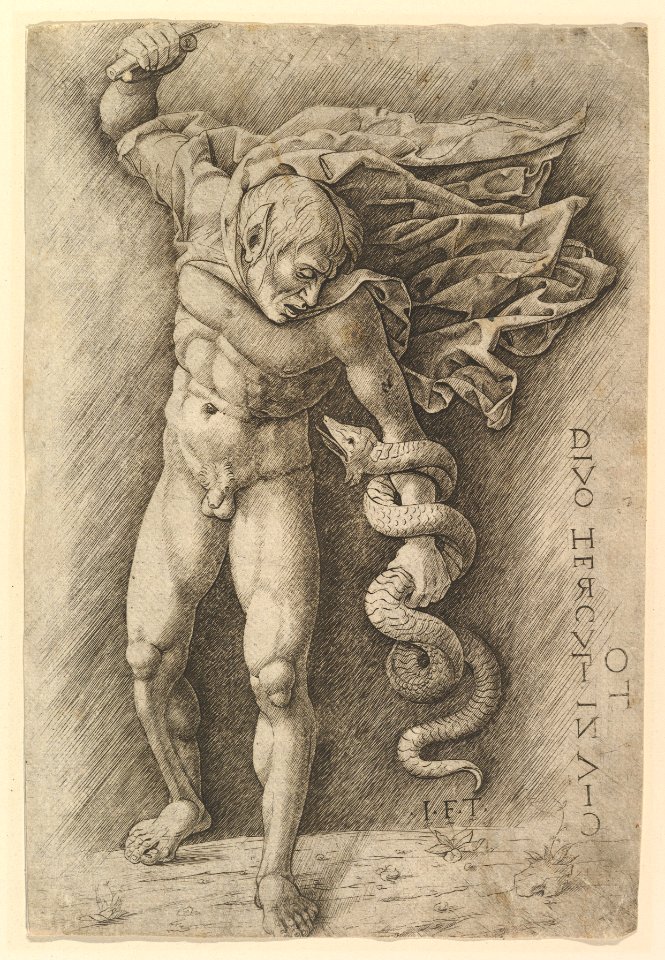 Hercules and the Hydra MET DP821658
