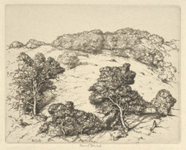 Hill of Dreams MET DP845691