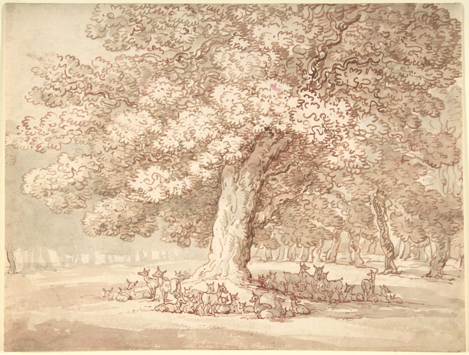 Herd of deer under an oak tree MET DP805050