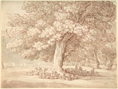 Herd of deer under an oak tree MET DP805050