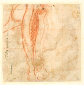 Group of Six Reclining Nude Women (Nymphs Bathing) (recto); Sketch of a Leg (verso) MET DP812240