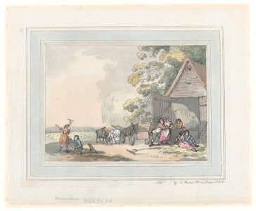 Haymakers MET DP871956