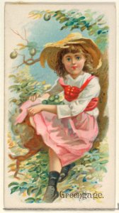 Greengage, from the Fruits series (N12) for Allen & Ginter Cigarettes Brands MET DP834621