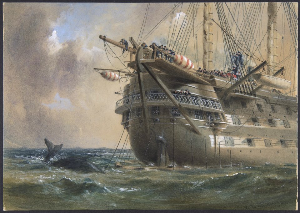 H.M.S. Agamemnon Laying the Atlantic Telegraph Cable in 1858- a Whale Crosses the Line MET DP801262