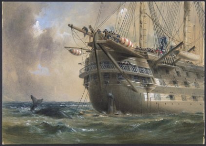 H.M.S. Agamemnon Laying the Atlantic Telegraph Cable in 1858- a Whale Crosses the Line MET DP801262