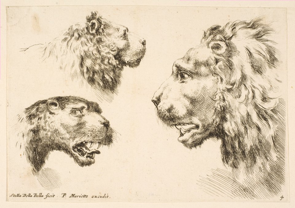 Heads of Three Lions MET DP817923