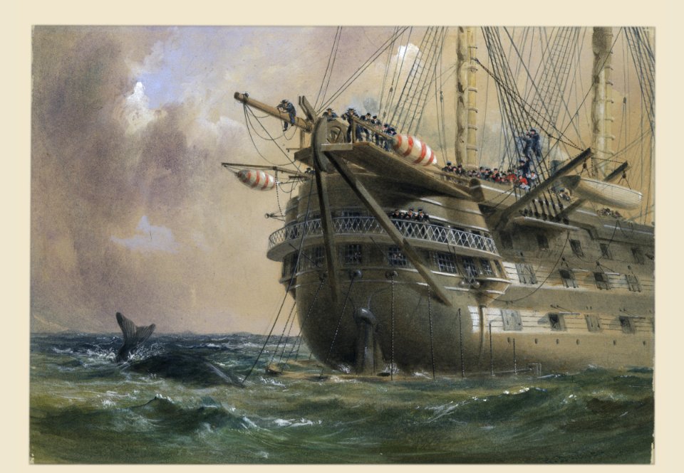H.M.S. Agamemnon Laying the Atlantic Telegraph Cable in 1858- a Whale Crosses the Line MET DP119837