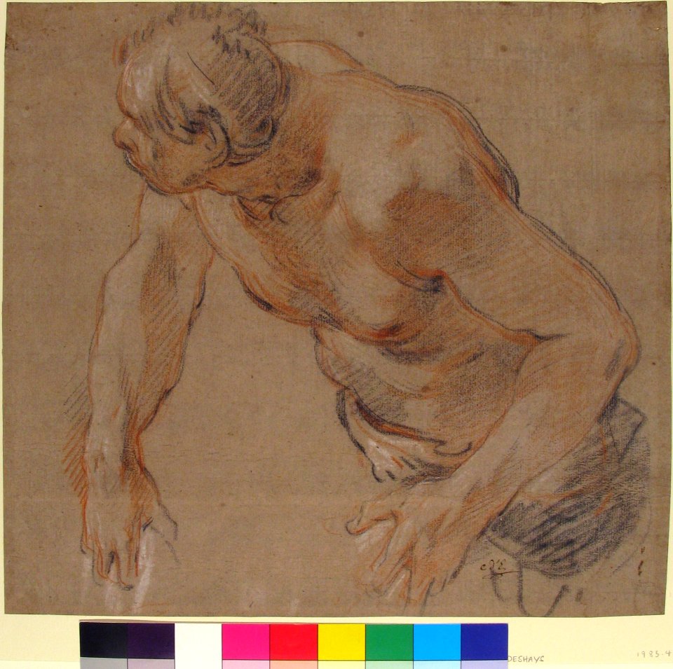 Half Figure of a Man, Nude to the Waist MET 1985.47