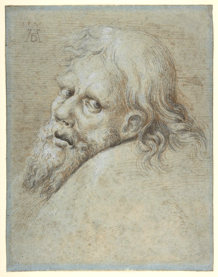 Head of a Bearded Man MET DP802932
