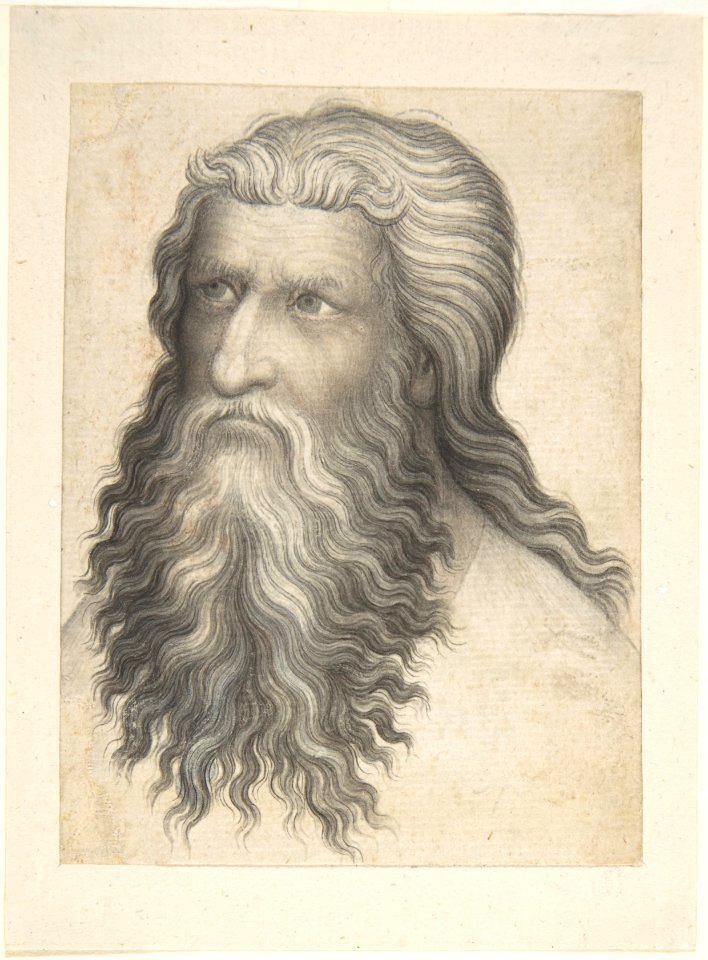 Head of a Bearded Man MET DP803541