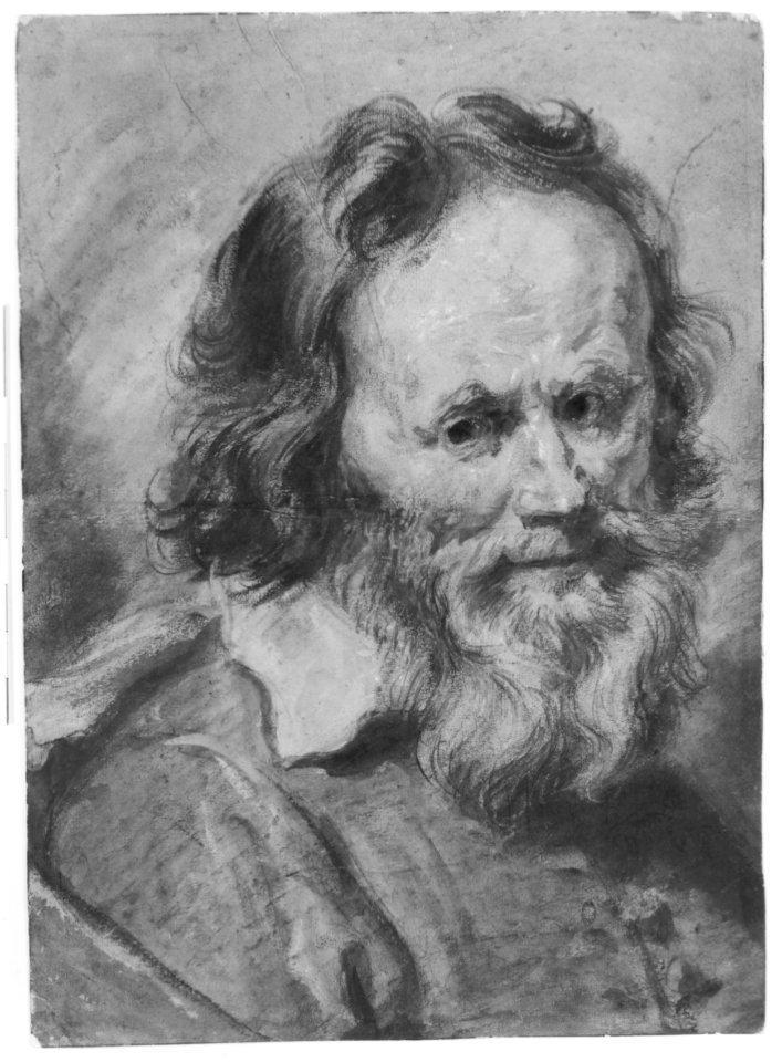 Head of a Bearded Man MET 271244